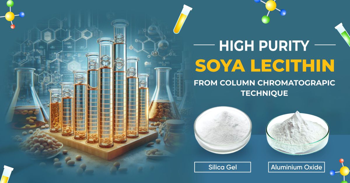 High Purity Soya Lecithin From Column Chromatograpic Technique